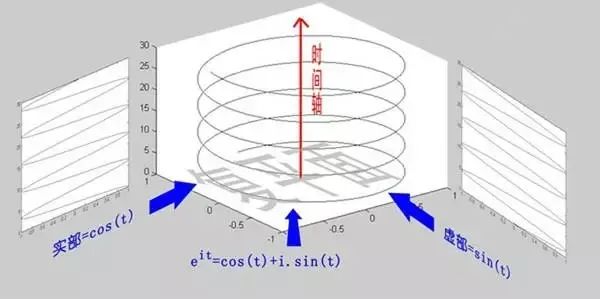 为什么使用正弦波作为信号分析等领域的基础？